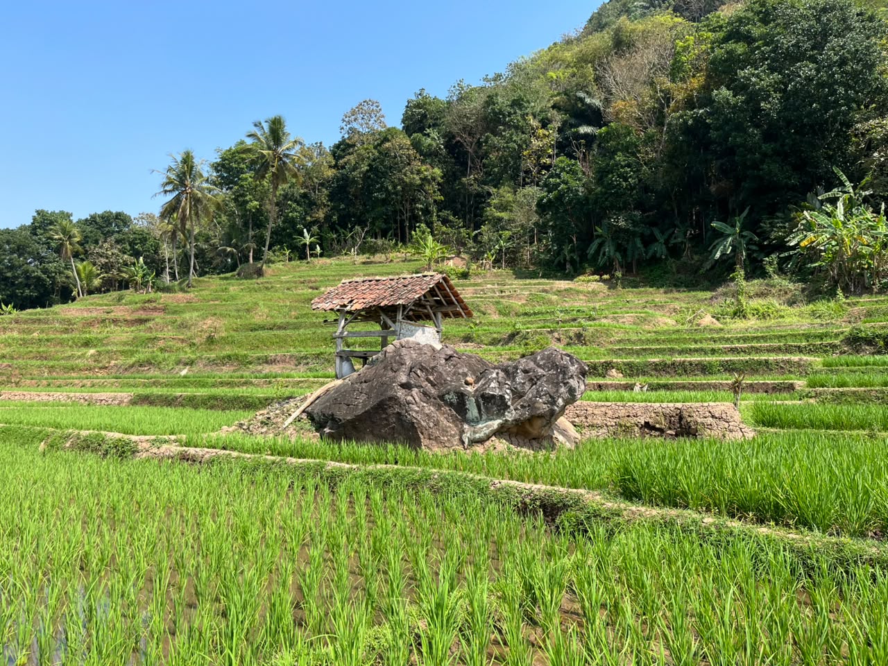 Batu Kuya